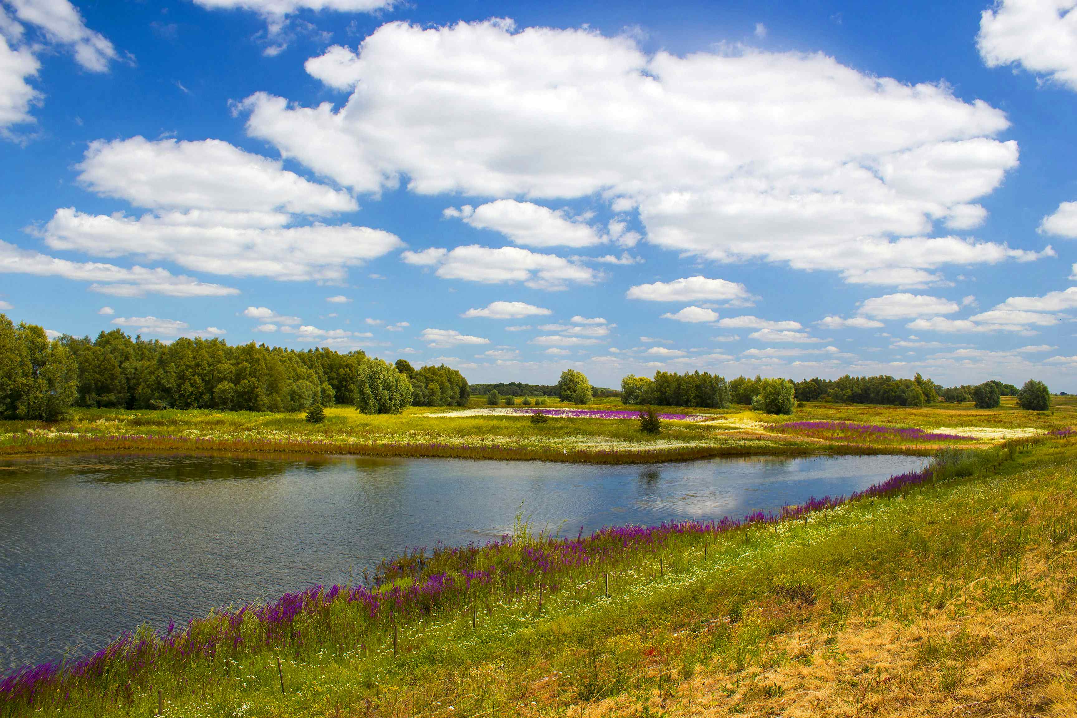 Camping in Gelderland