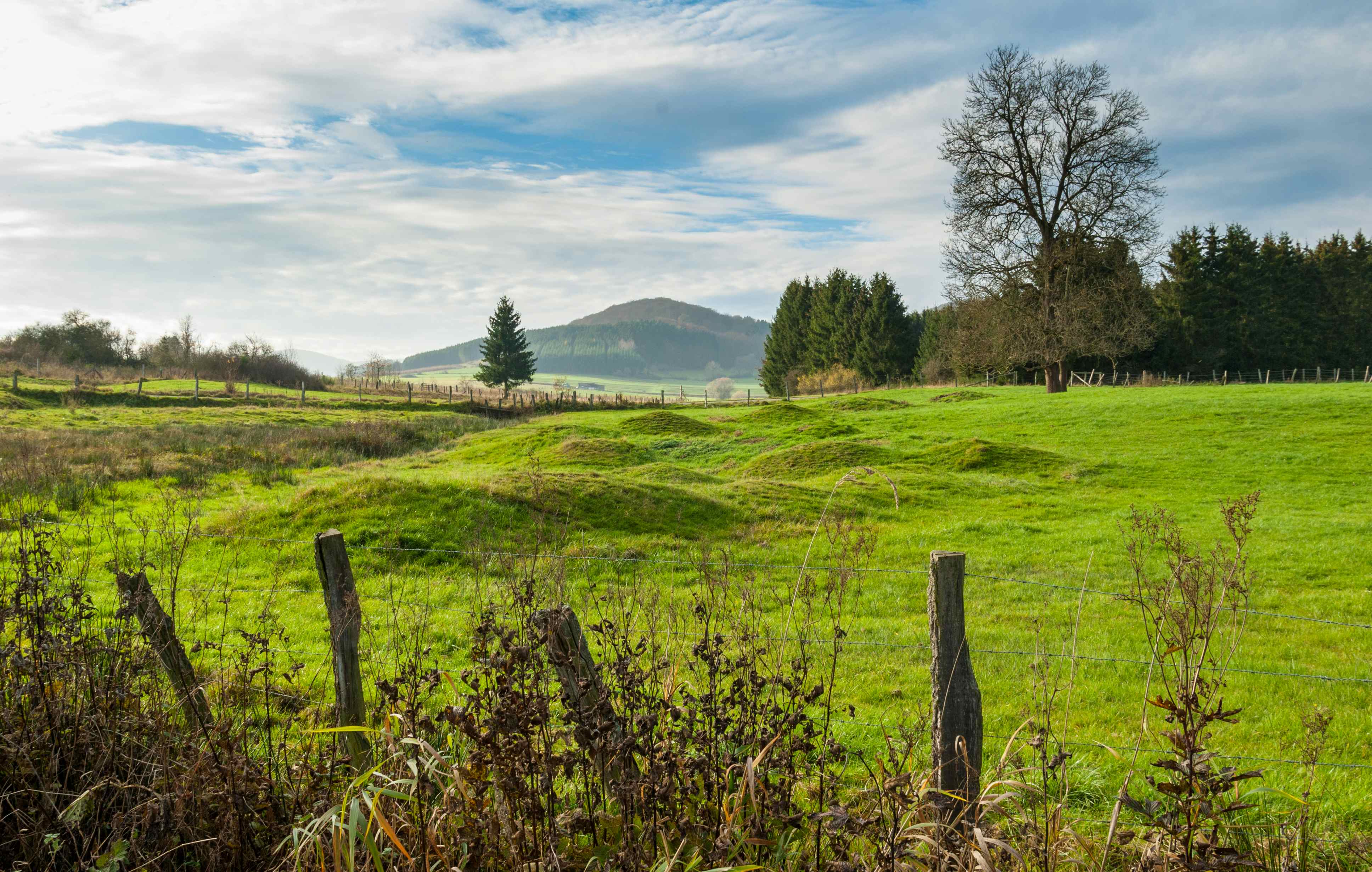 Camping im Hochsauerland