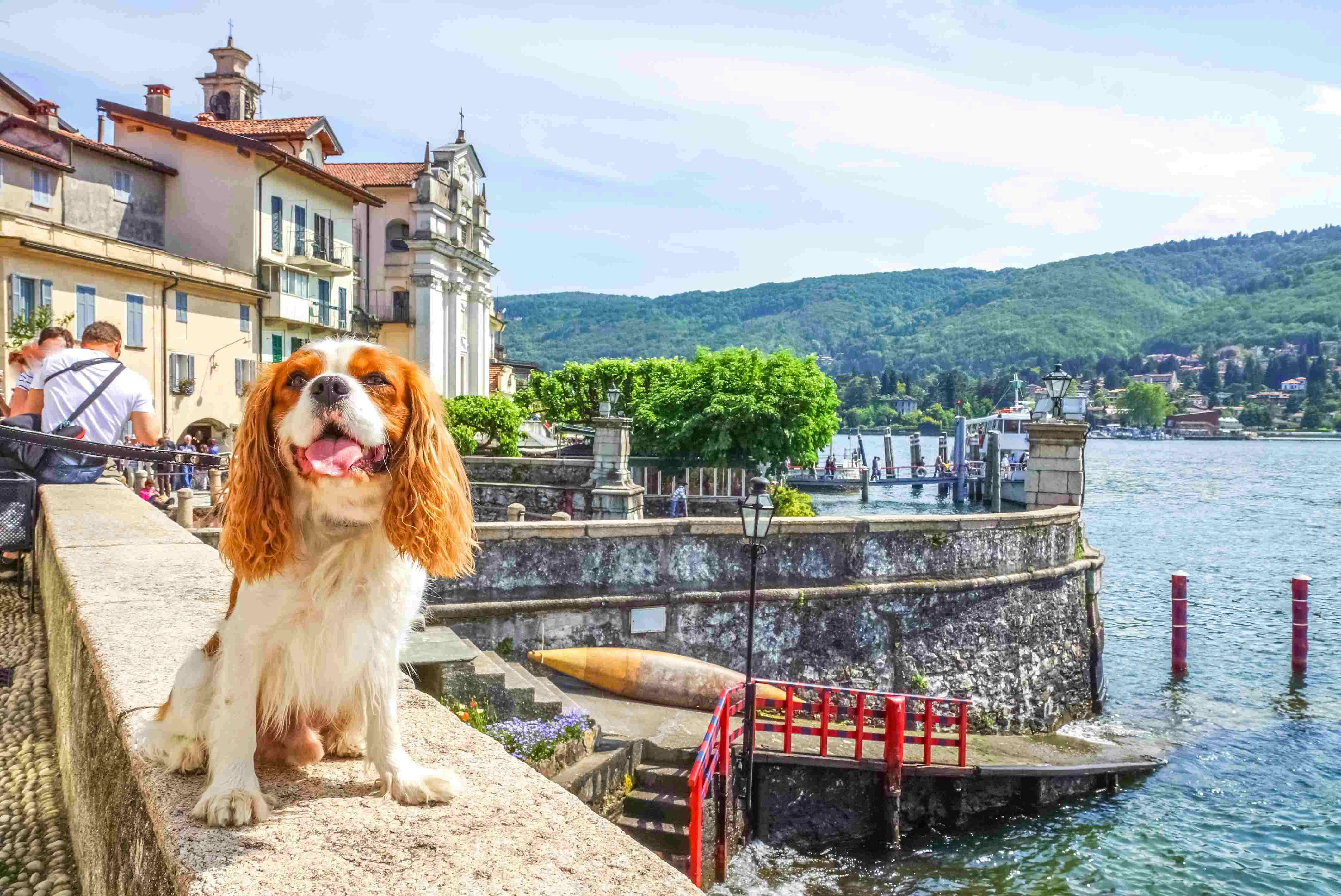 Camping mit Hund in Lazise