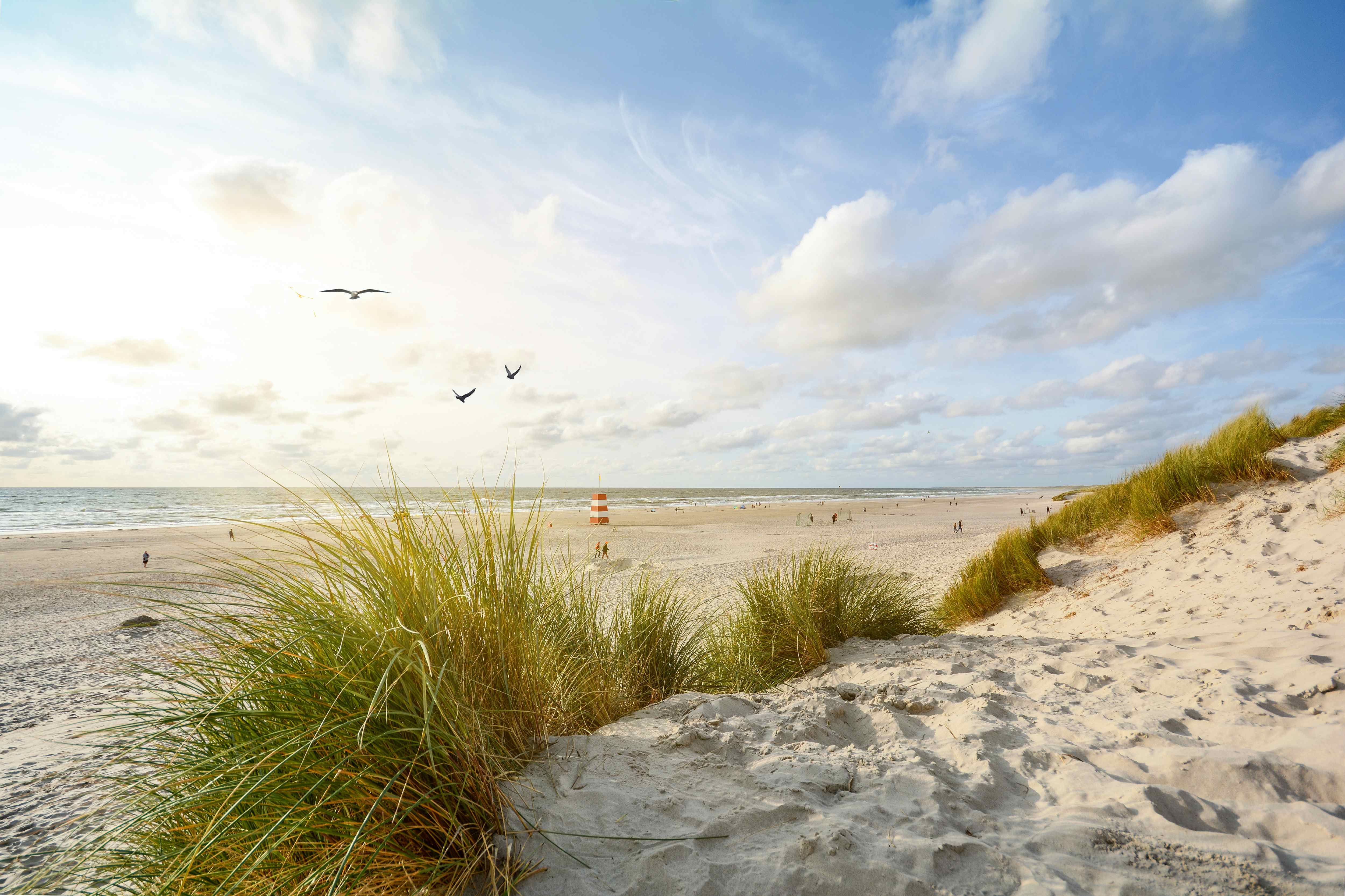 Camping am Meer in Dänemark