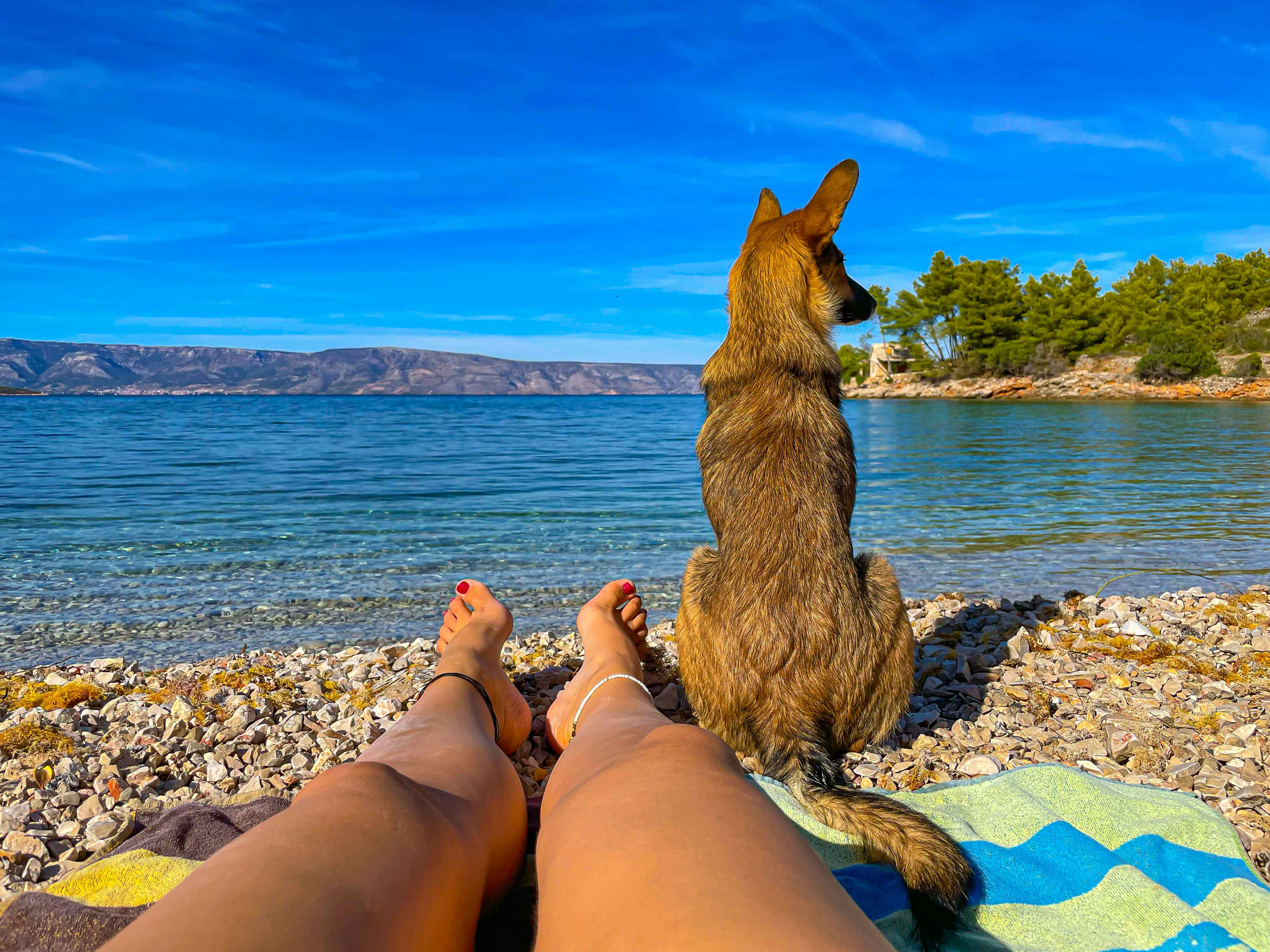 Camping mit Hund auf Krk