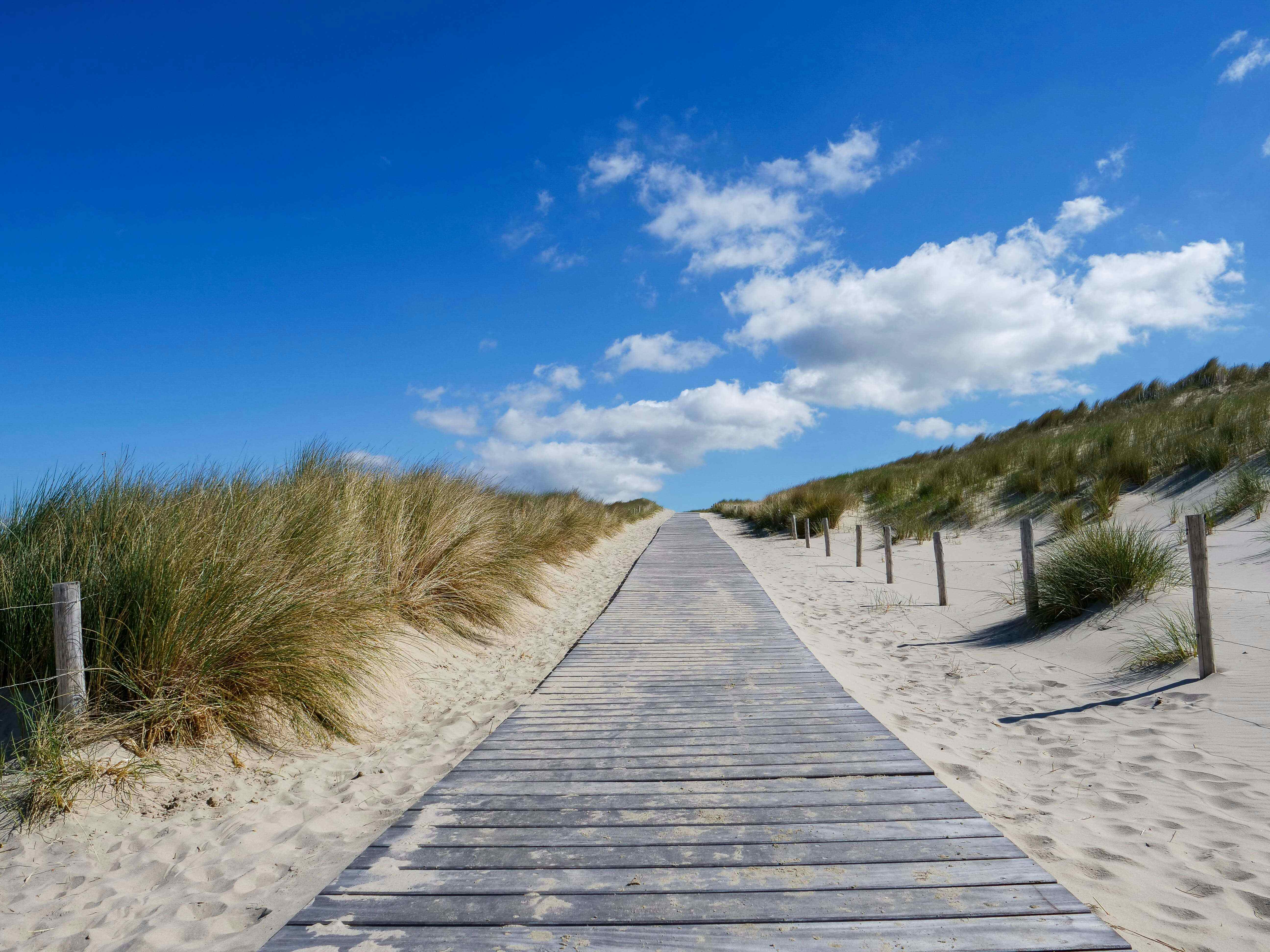 Camping in Petten
