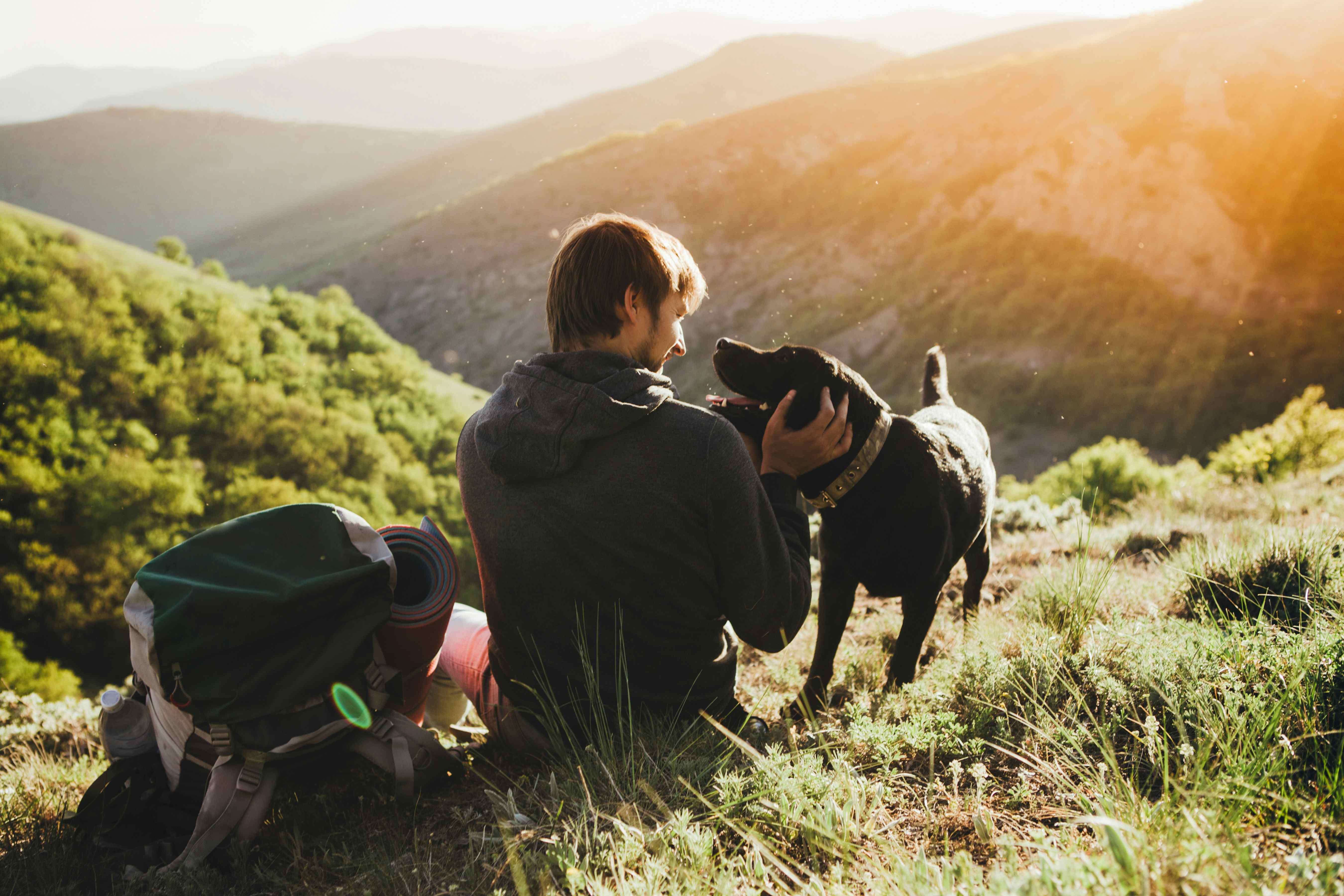 Camping mit Hund im Schwarzwald