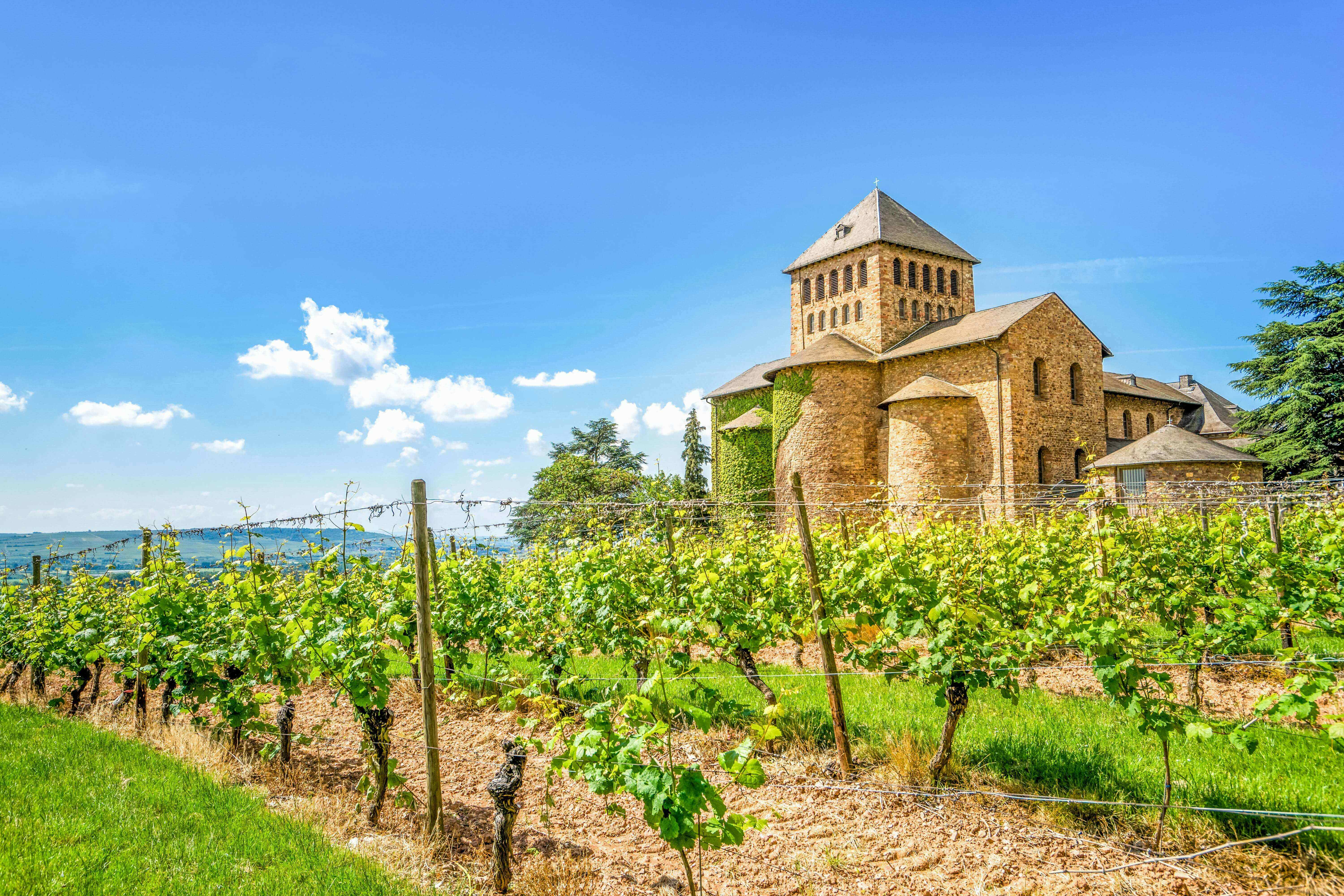Camping im Rheingau