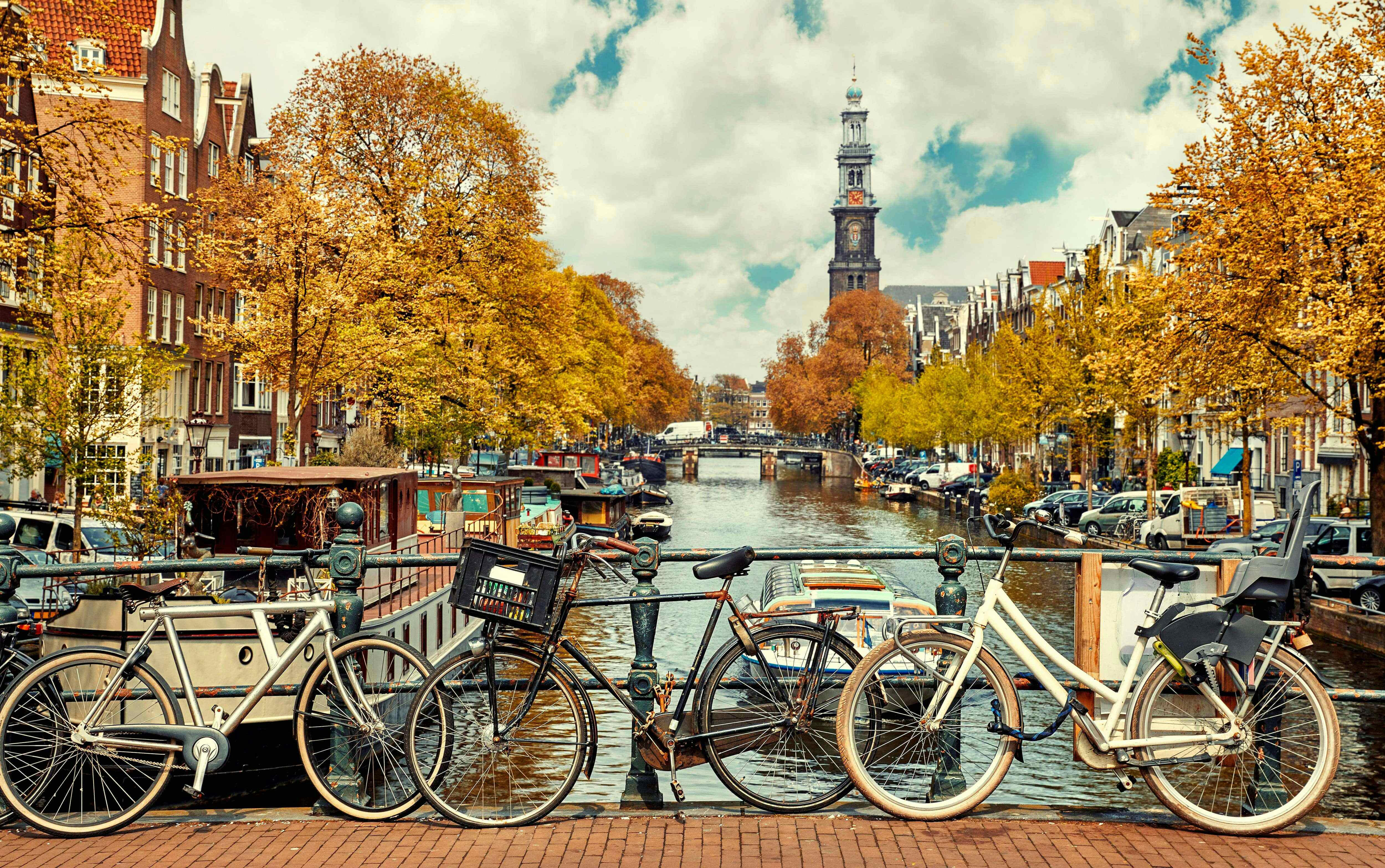Camping in Amsterdam