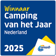 award-icon