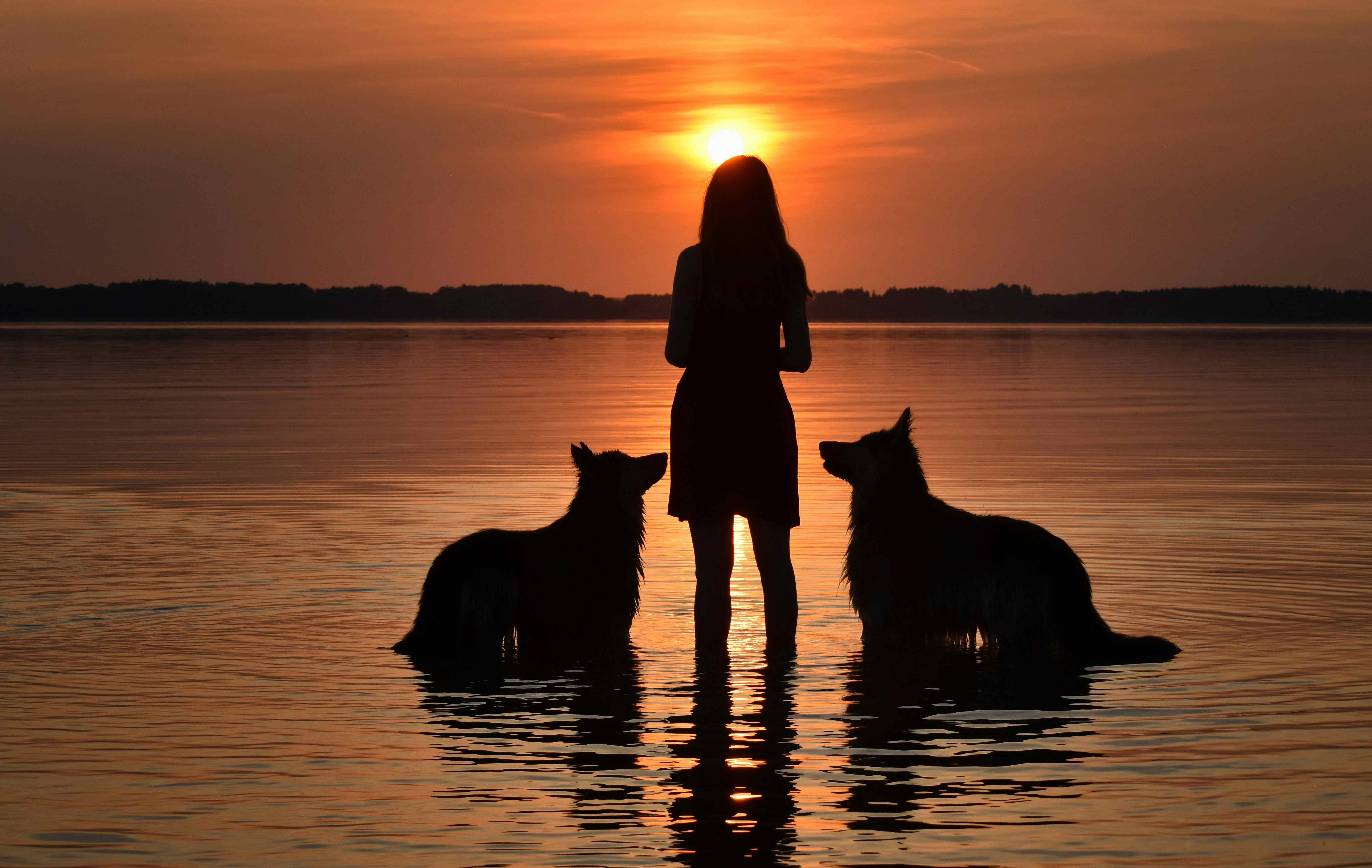 Camping mit Hund am Chiemsee