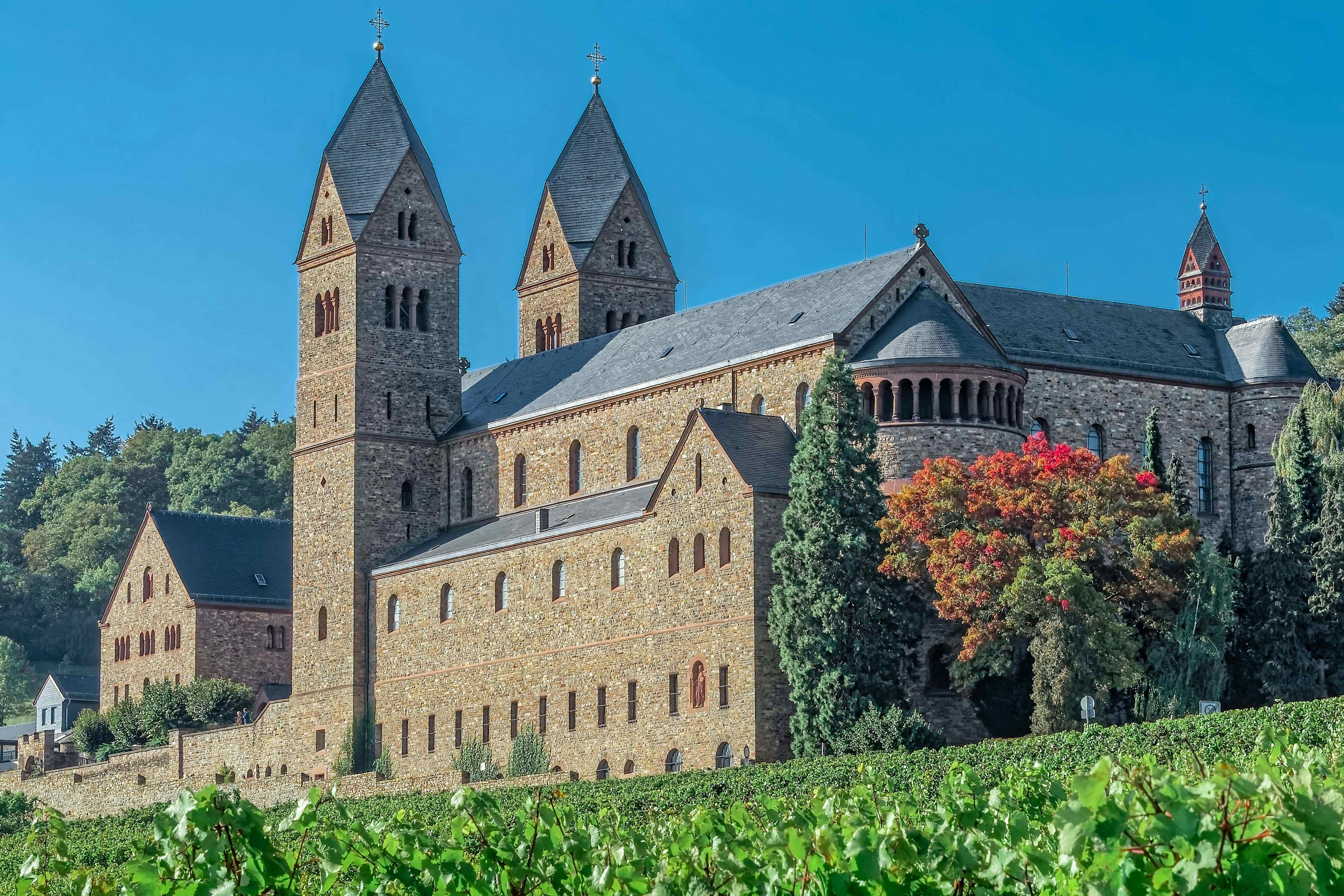 Camping in der Region Rüdesheim