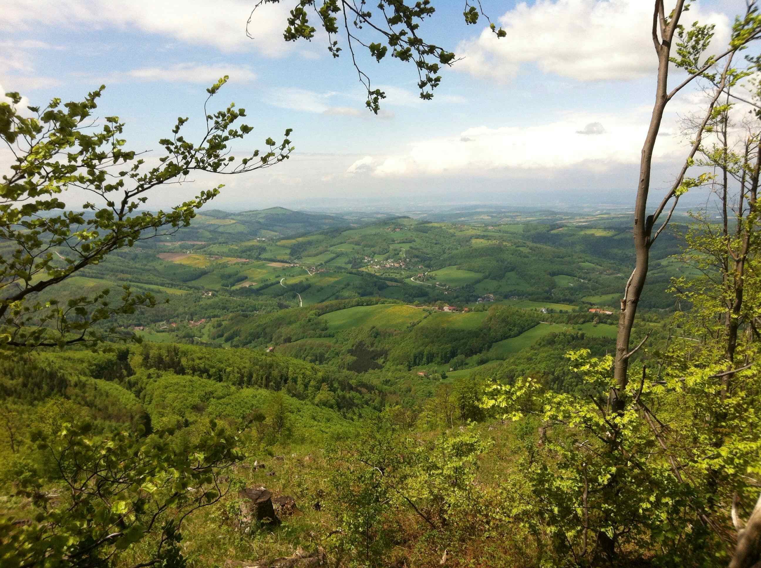 Camping im Wienerwald