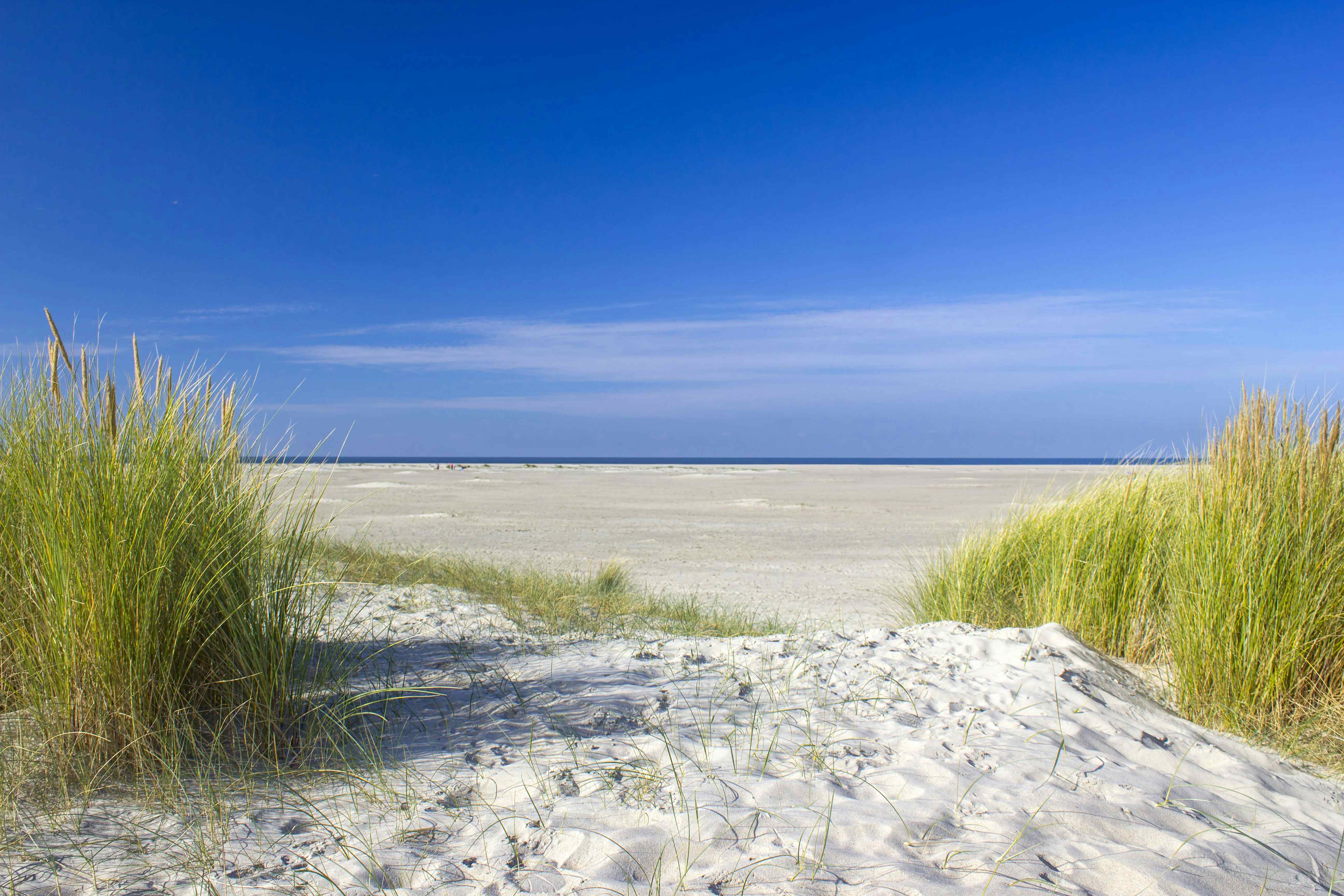 Camping in Renesse