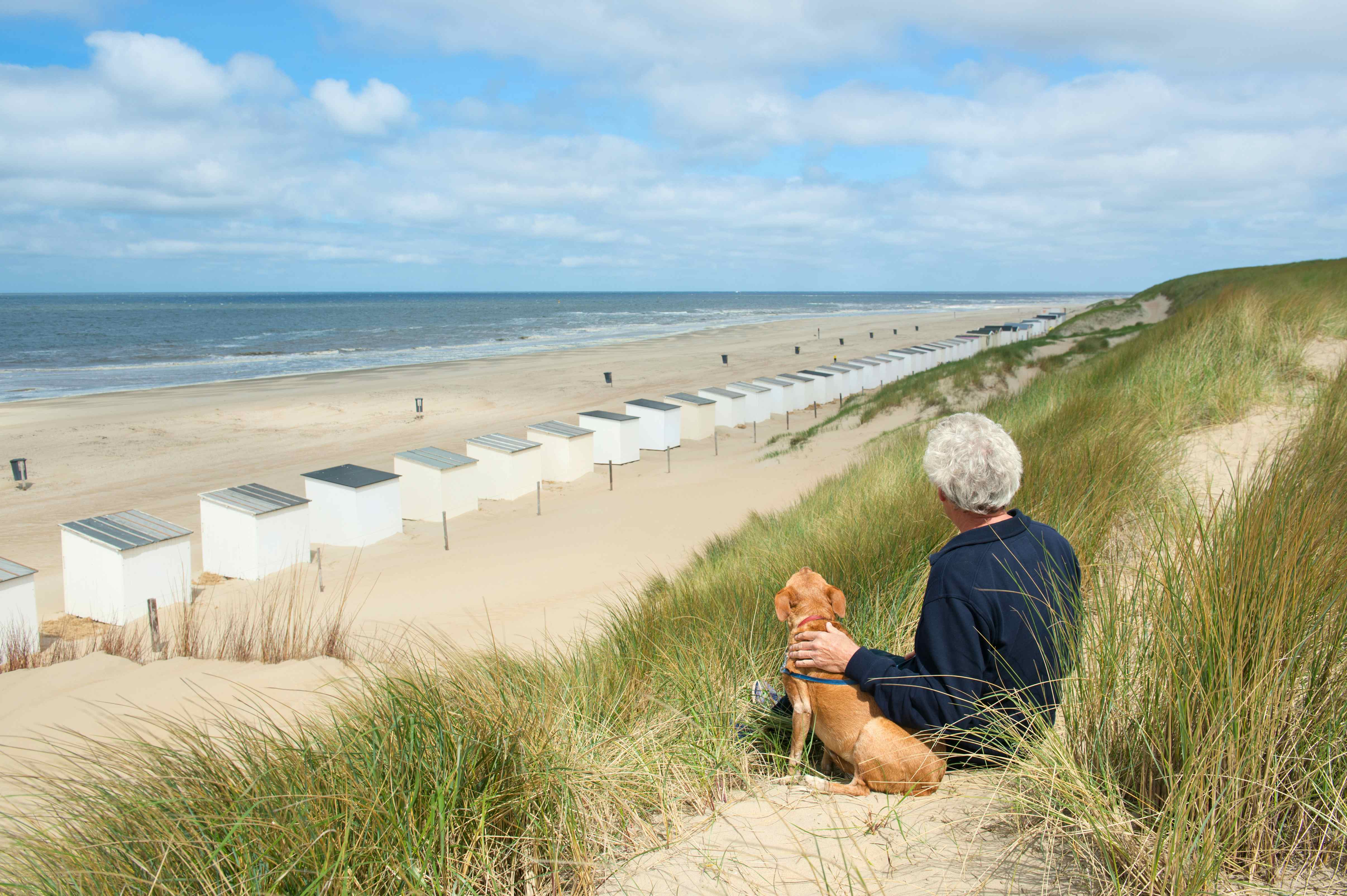 Camping mit Hund auf Texel