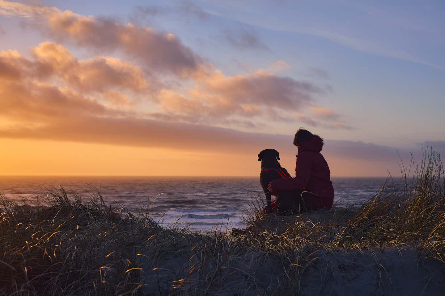 Camping avec chien à Grömitz