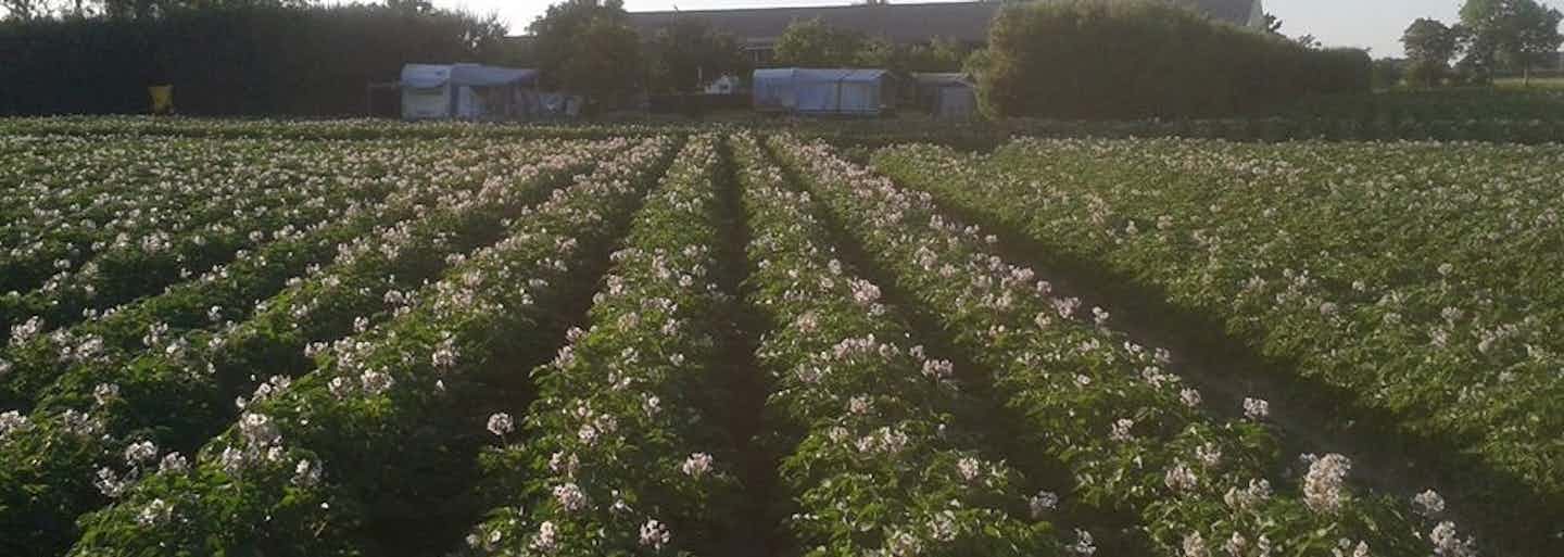 Kamperen in Oudelande