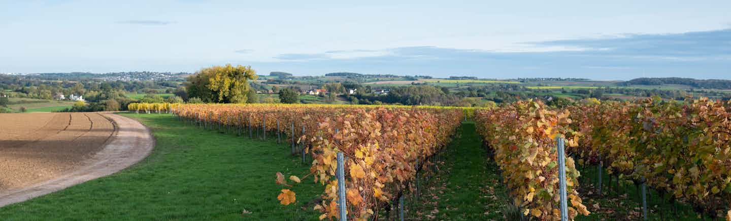Kamperen in Zuid-Limburg