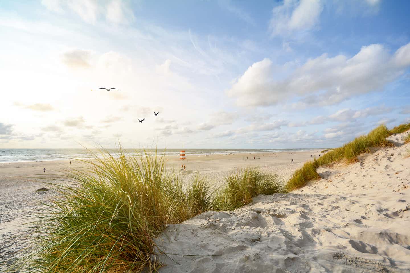 Campings in Denemarken aan zee