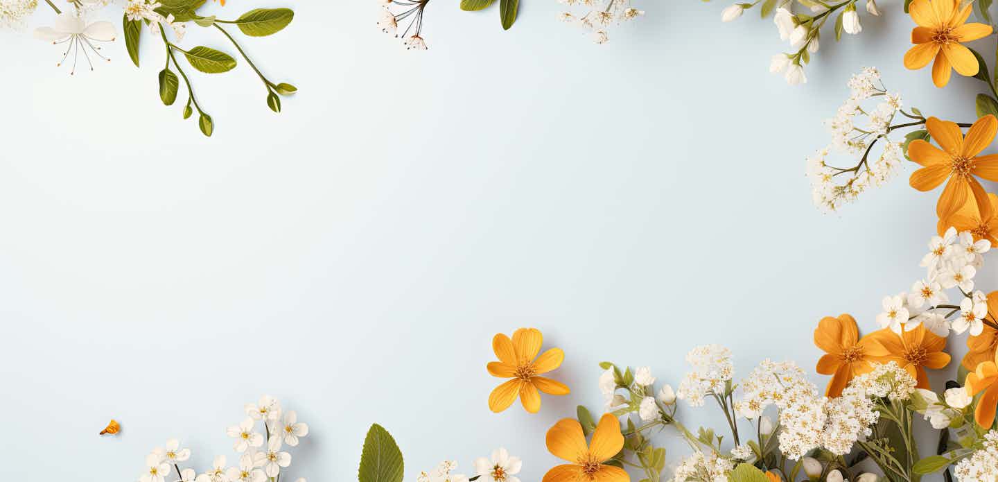 Lente-uitverkoop Campingaanbiedingen