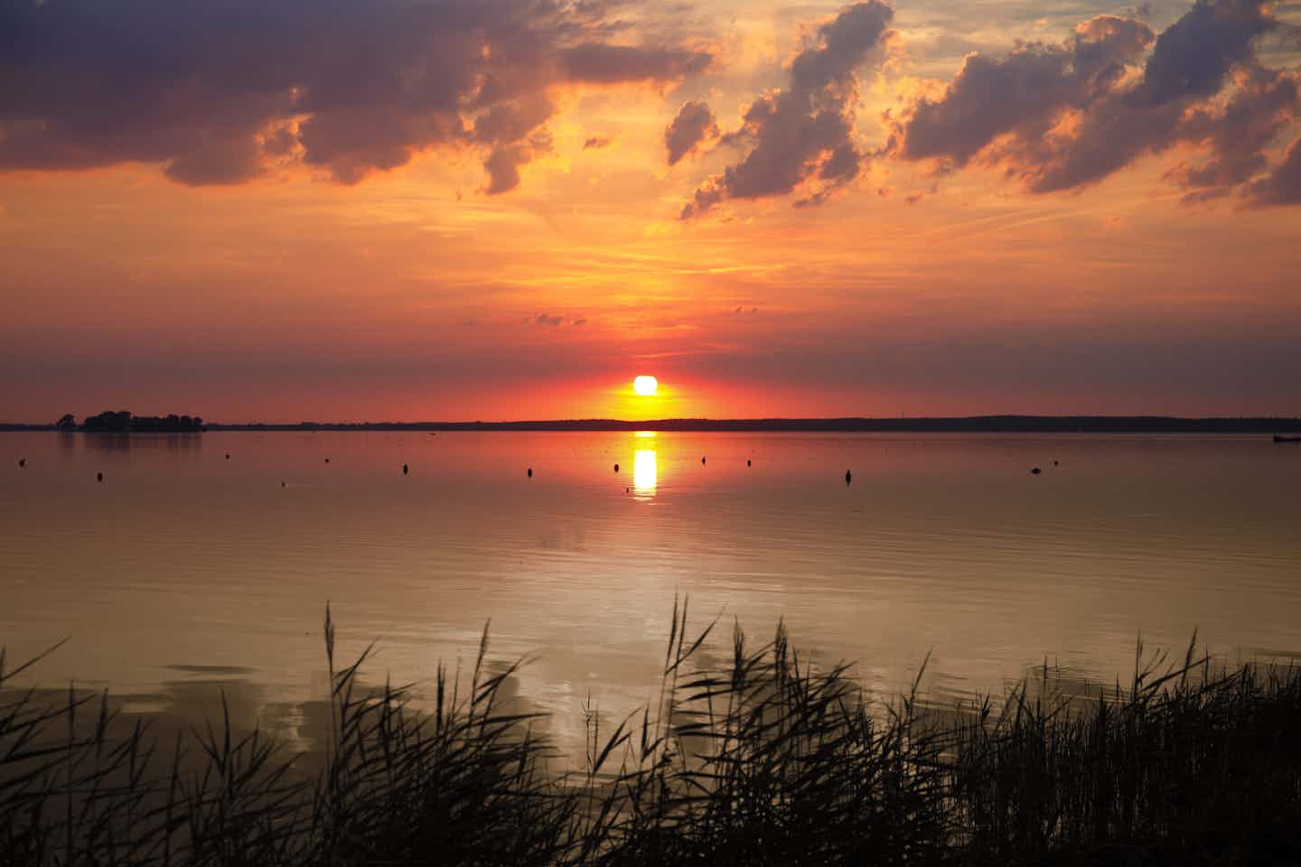 Camping am Steinhuder Meer