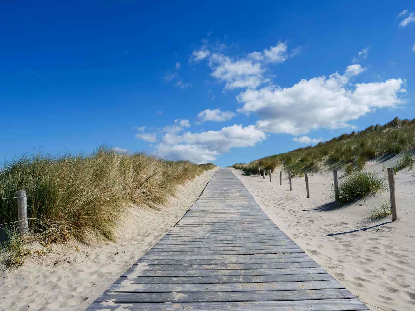 Camping à Petten