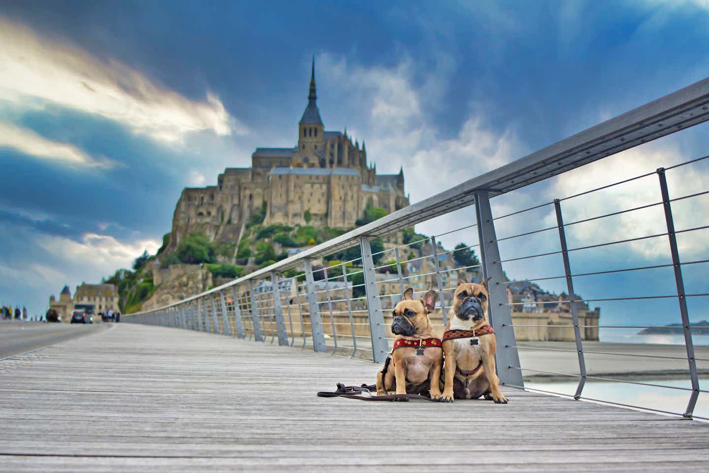 Camping avec chien en Normandie