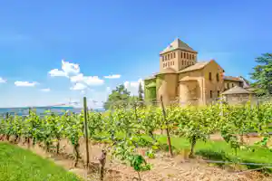 Rheingau