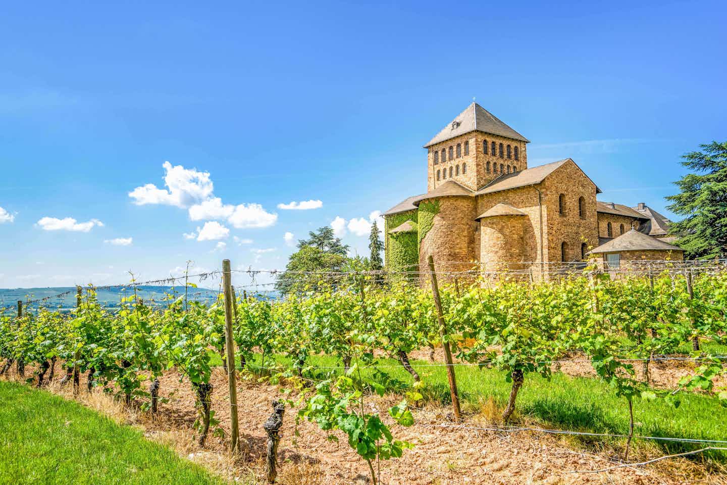 Kamperen in de Rheingau