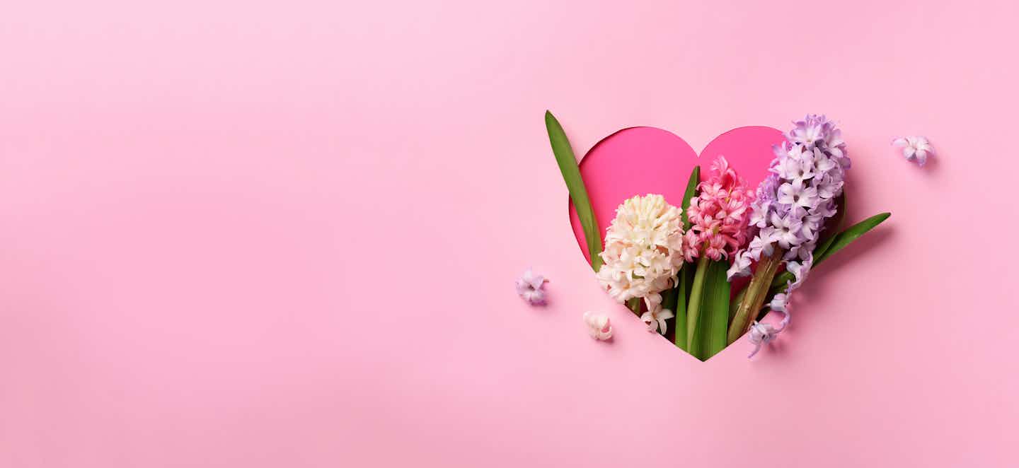 Campingangebote zu Muttertag