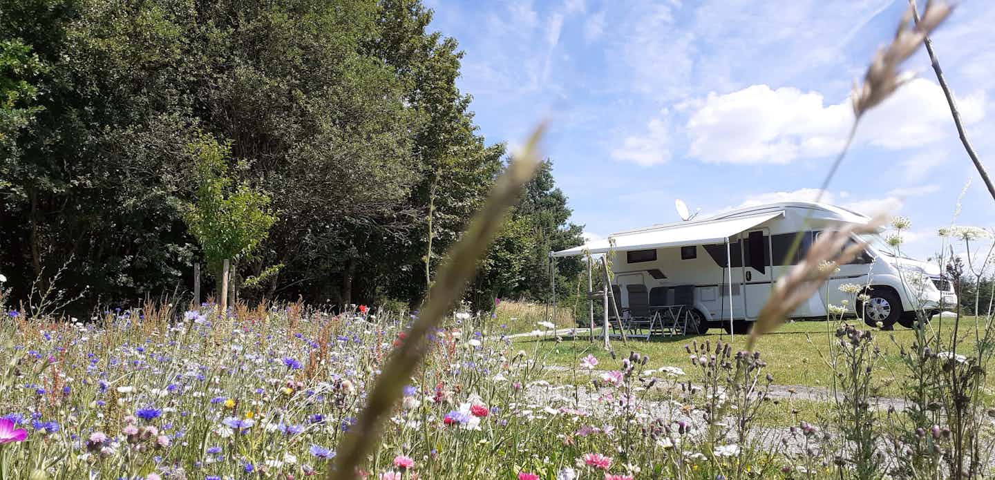 30 Campingplätze unter 30 € pro Nacht – aber nur für kurze Zeit!