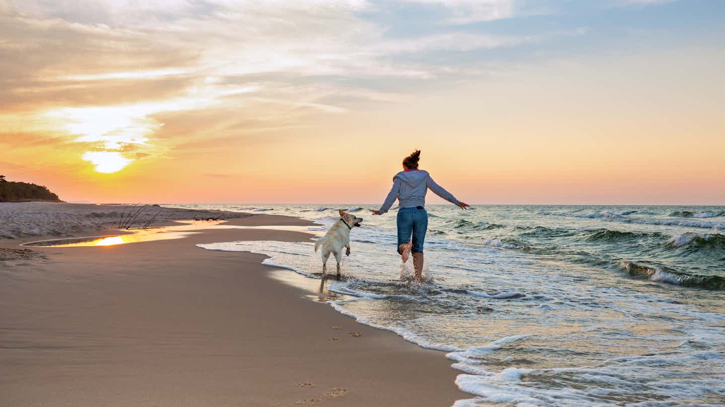 Kamperen met hond in stacaravan in Istrië