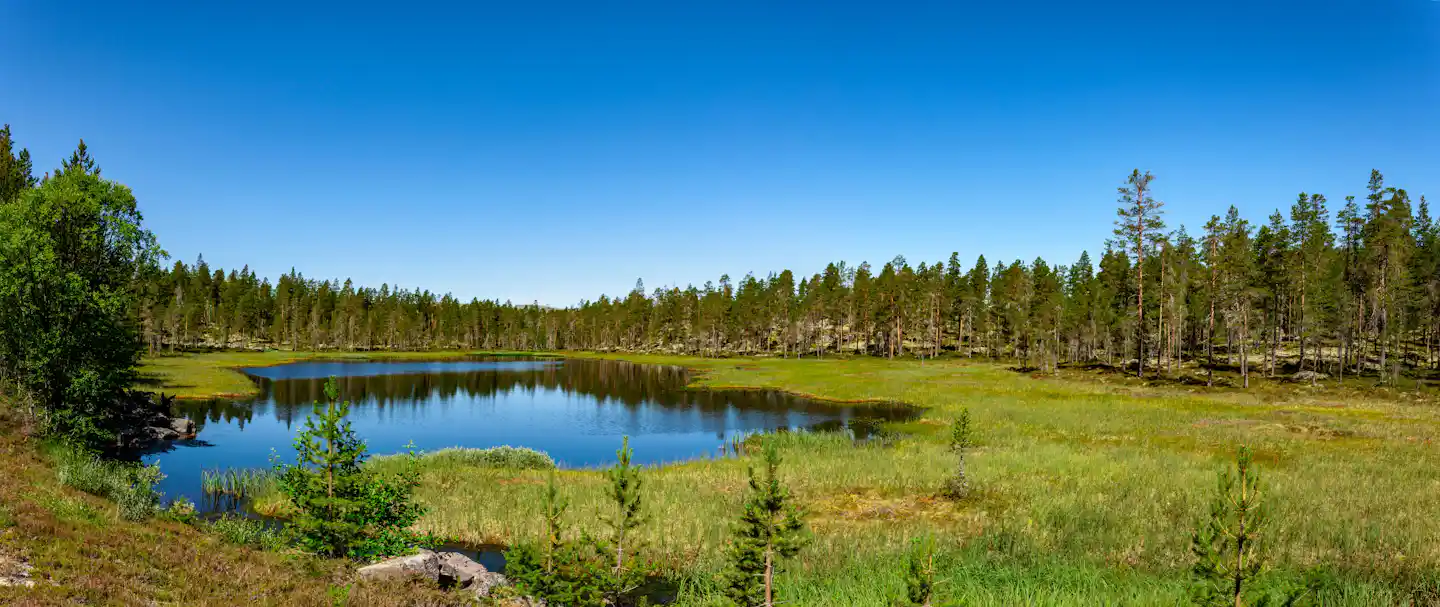 Camping in Innlandet