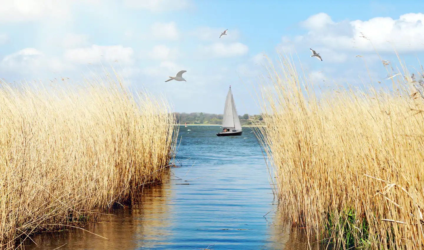 Kamperen aan de Schlei