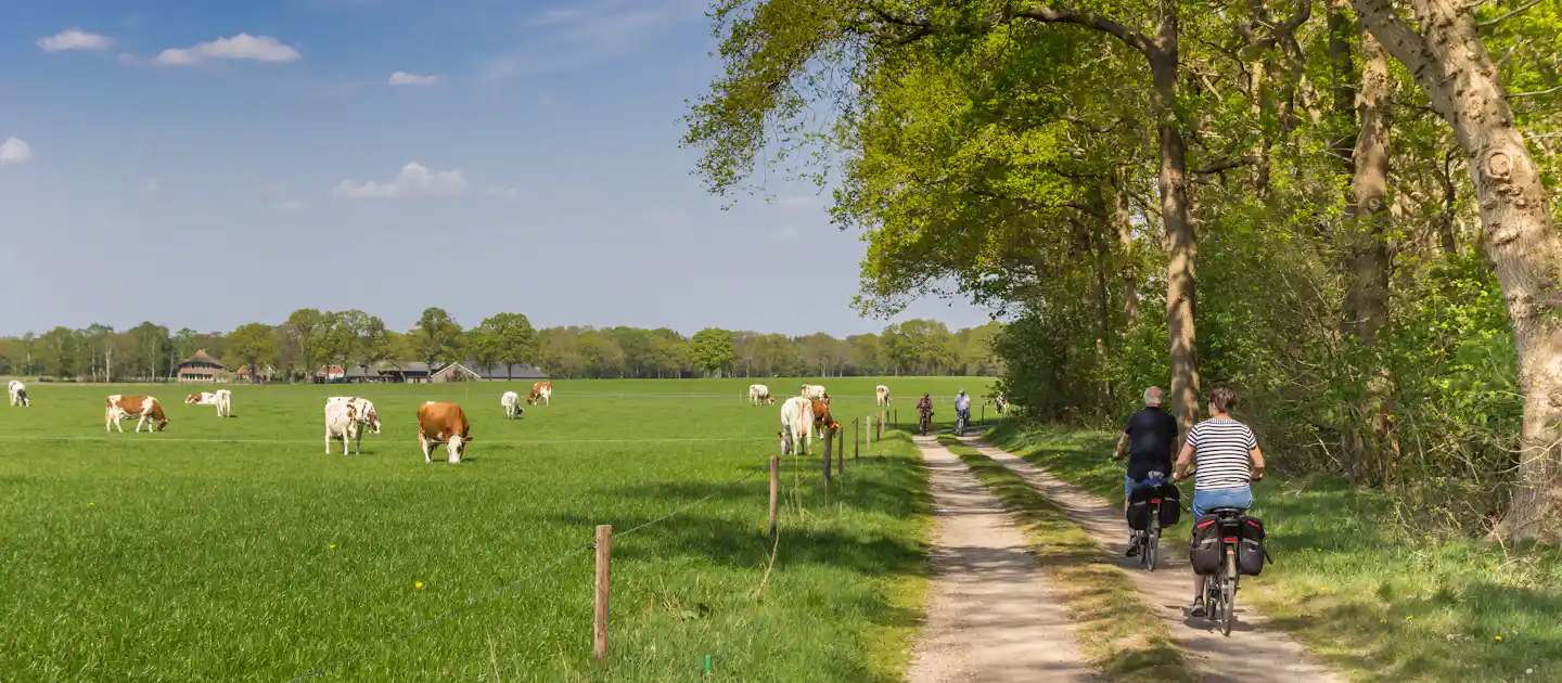 Camping in Twente
