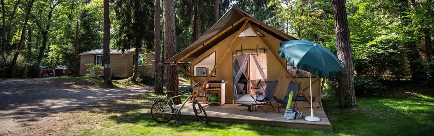 Safari tent in Veluwe