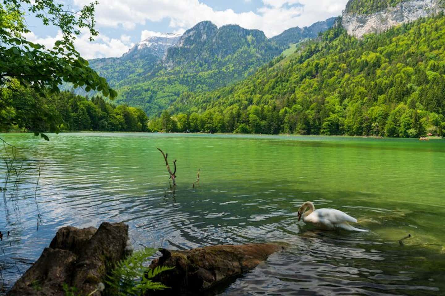 Kleine und ruhige Campingplätze in Österreich