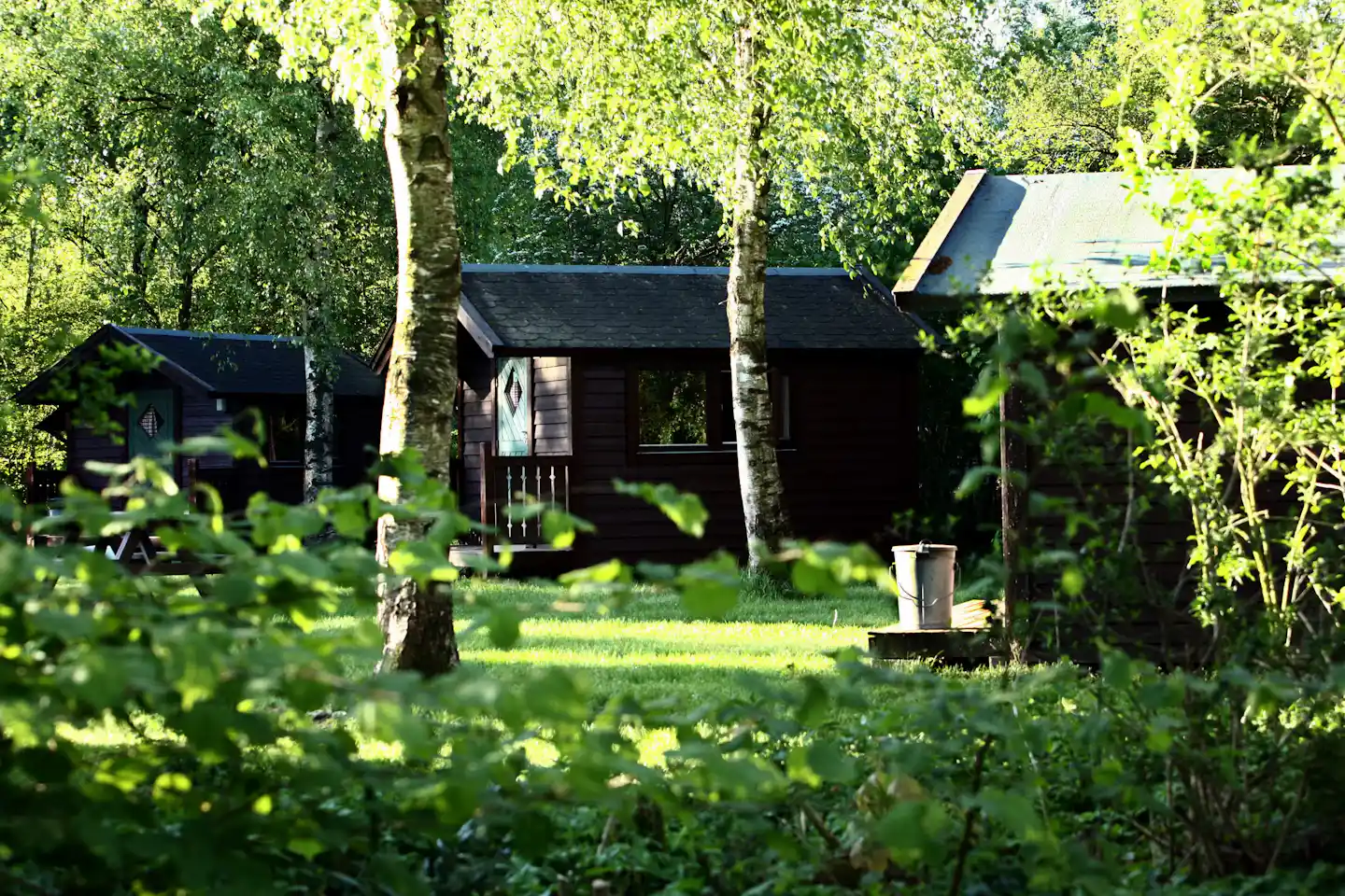 Tiny House in Groningen