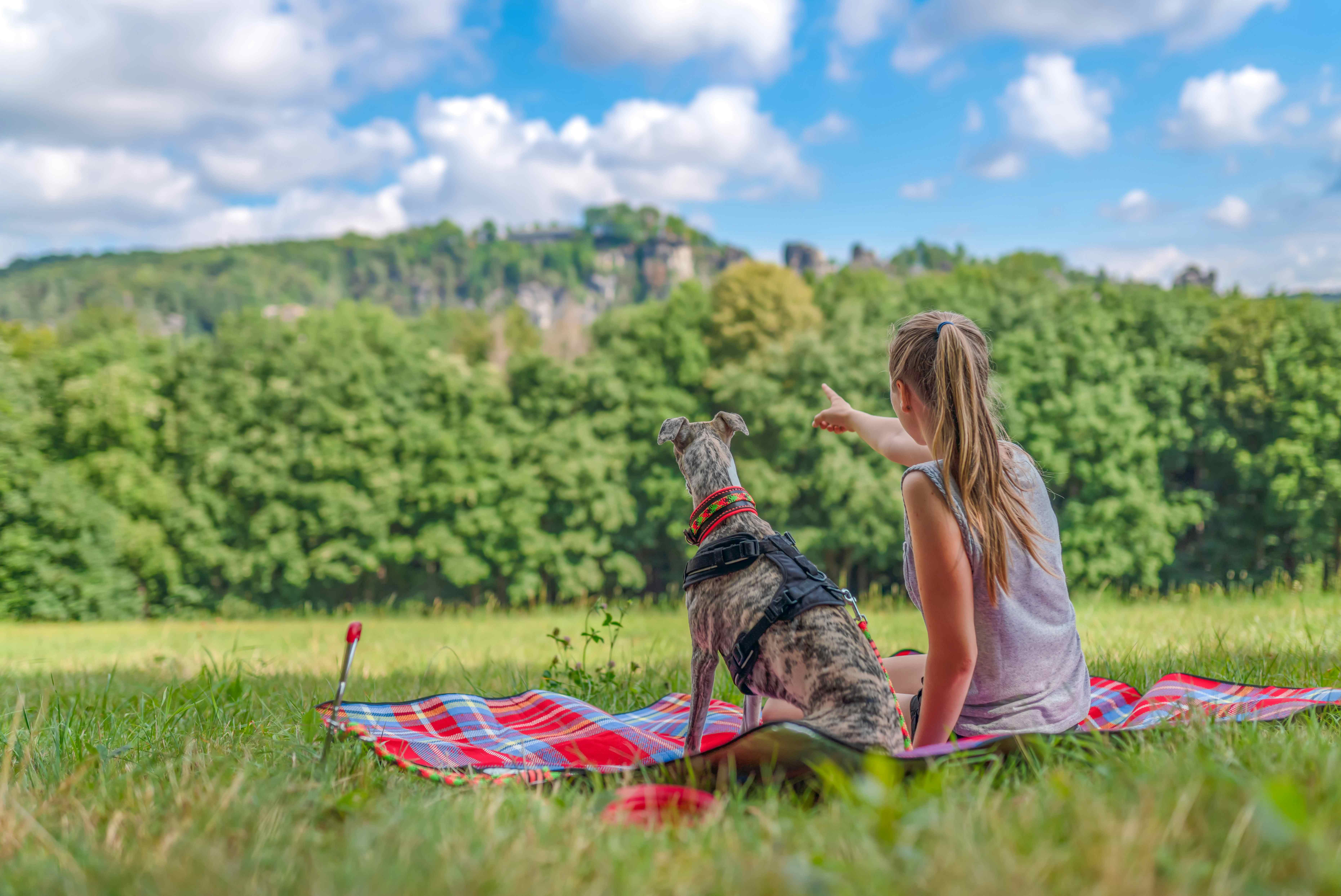 Camping mit Hund in der Sächsischen Schweiz