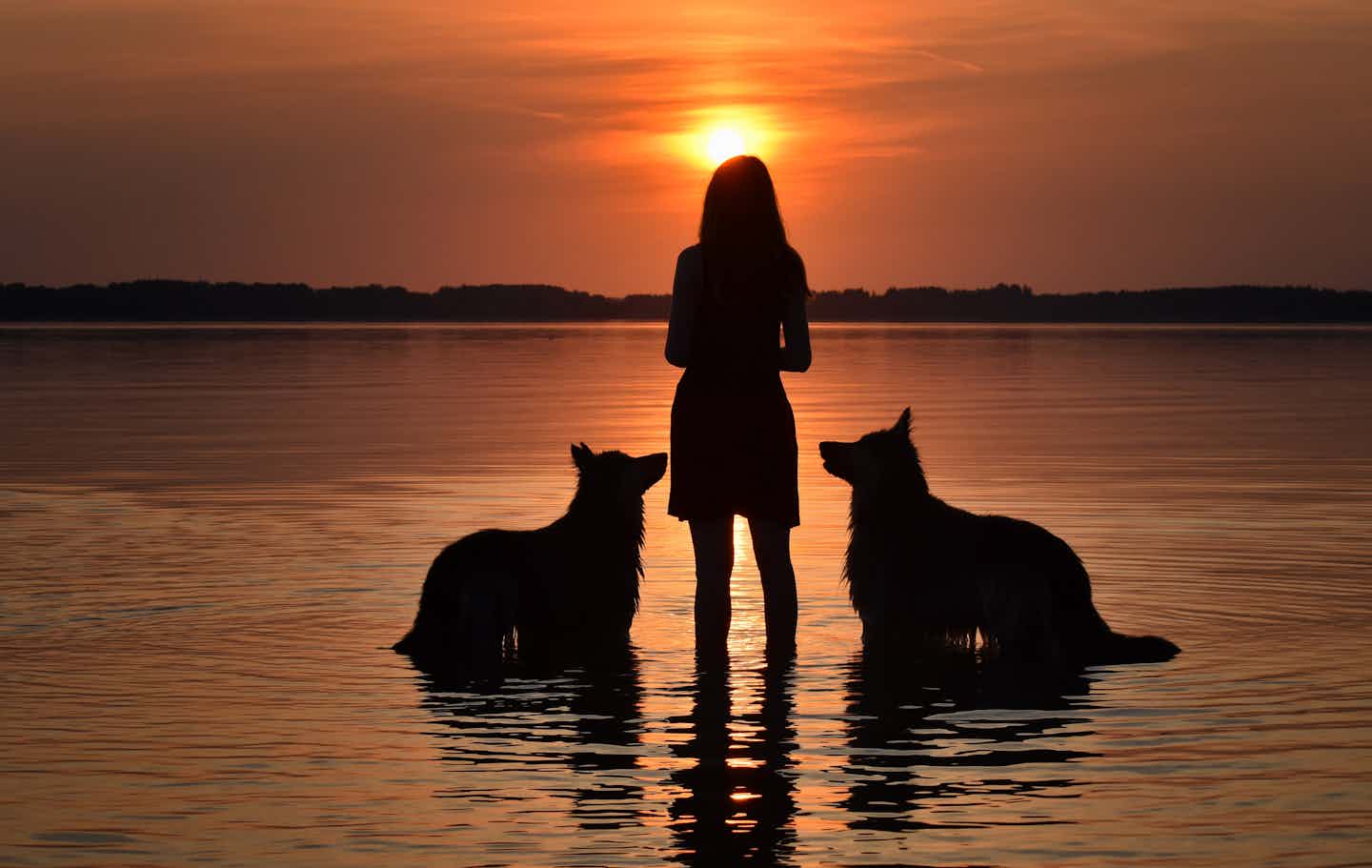 Camping mit Hund am Chiemsee
