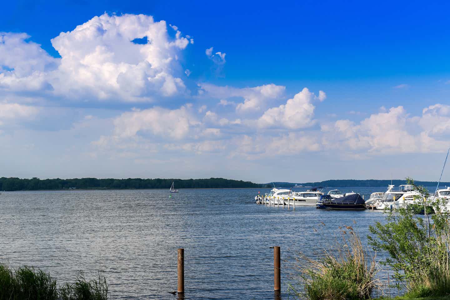 Camping sullo Schwielowsee