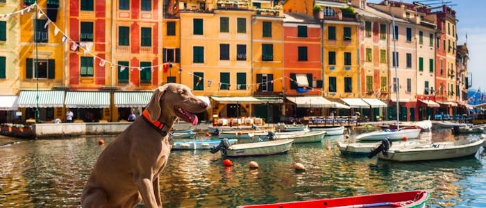 Camping avec chien au bord de la mer en Italie