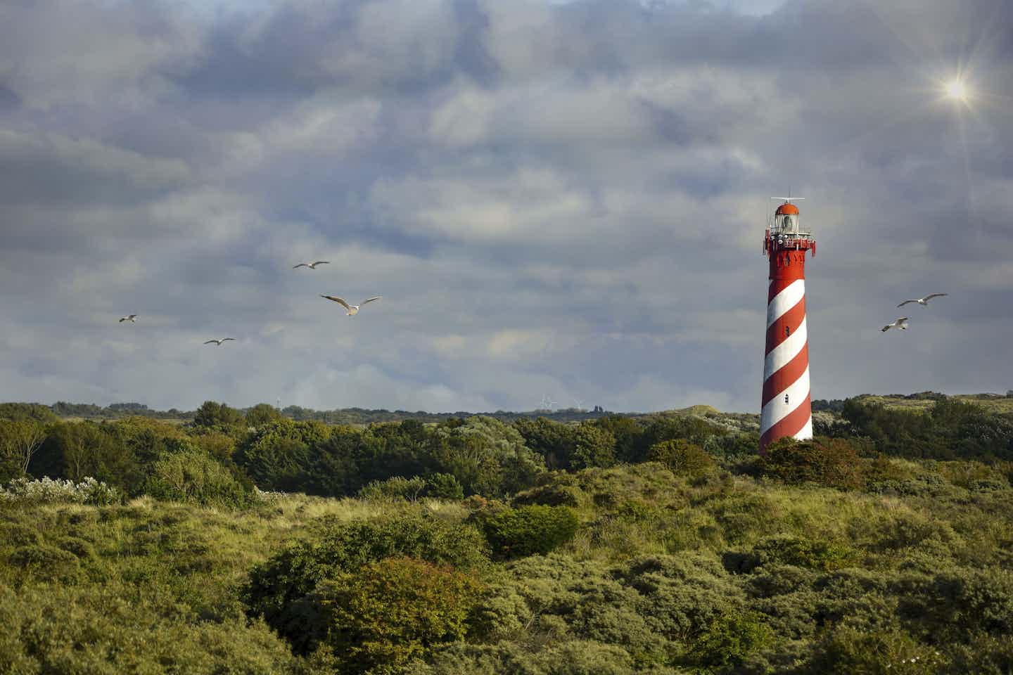 Camping in Burgh-Haamstede