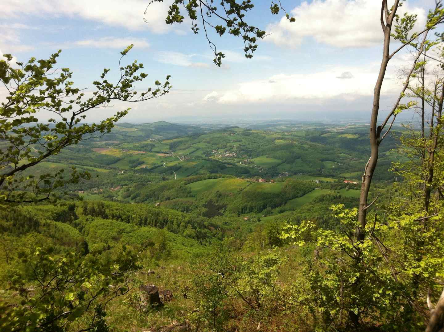 Camping im Wienerwald