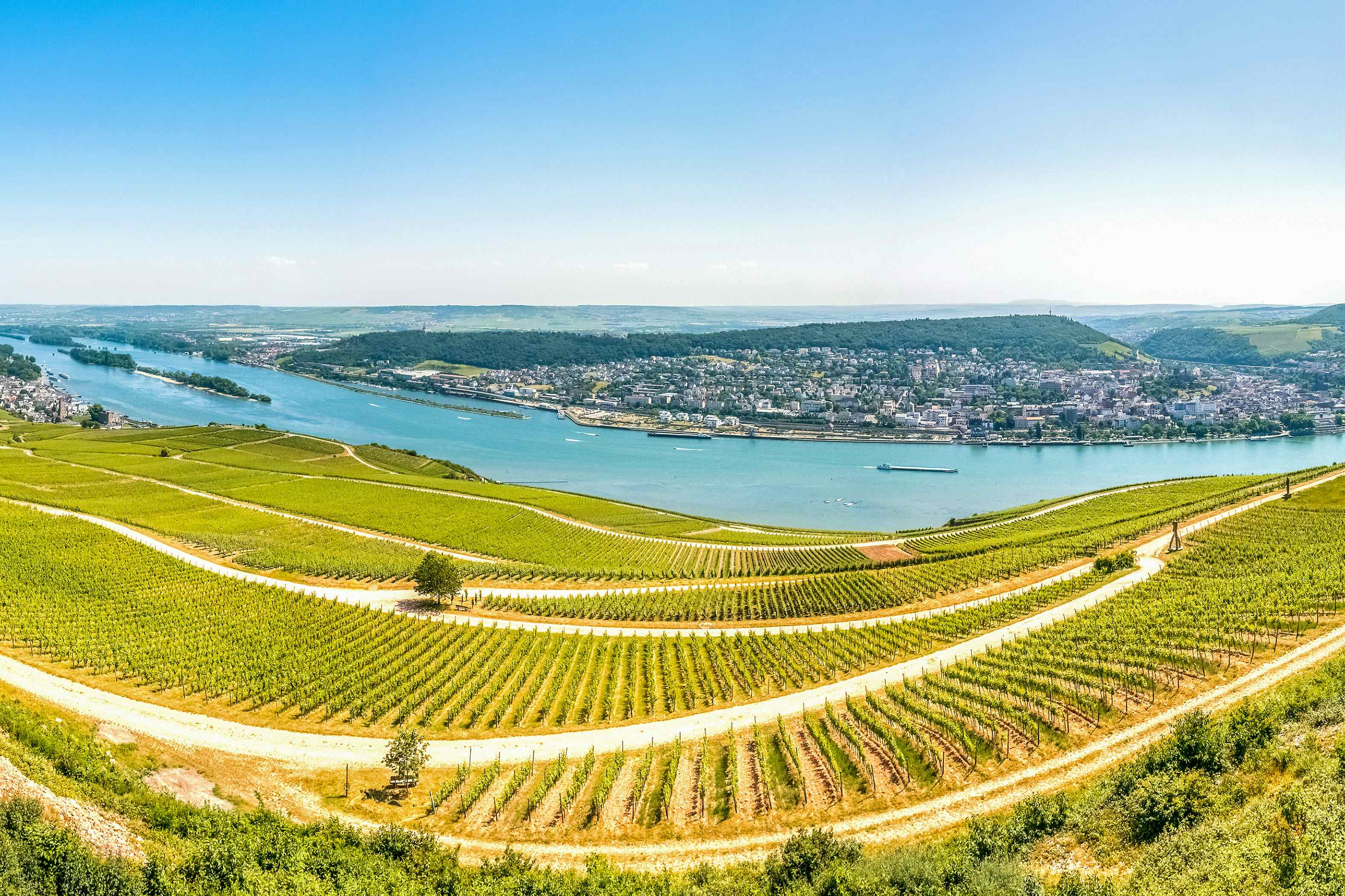 Kultur-Camping mit dem Wohnmobil. Mittelrhein, Rheinhessen