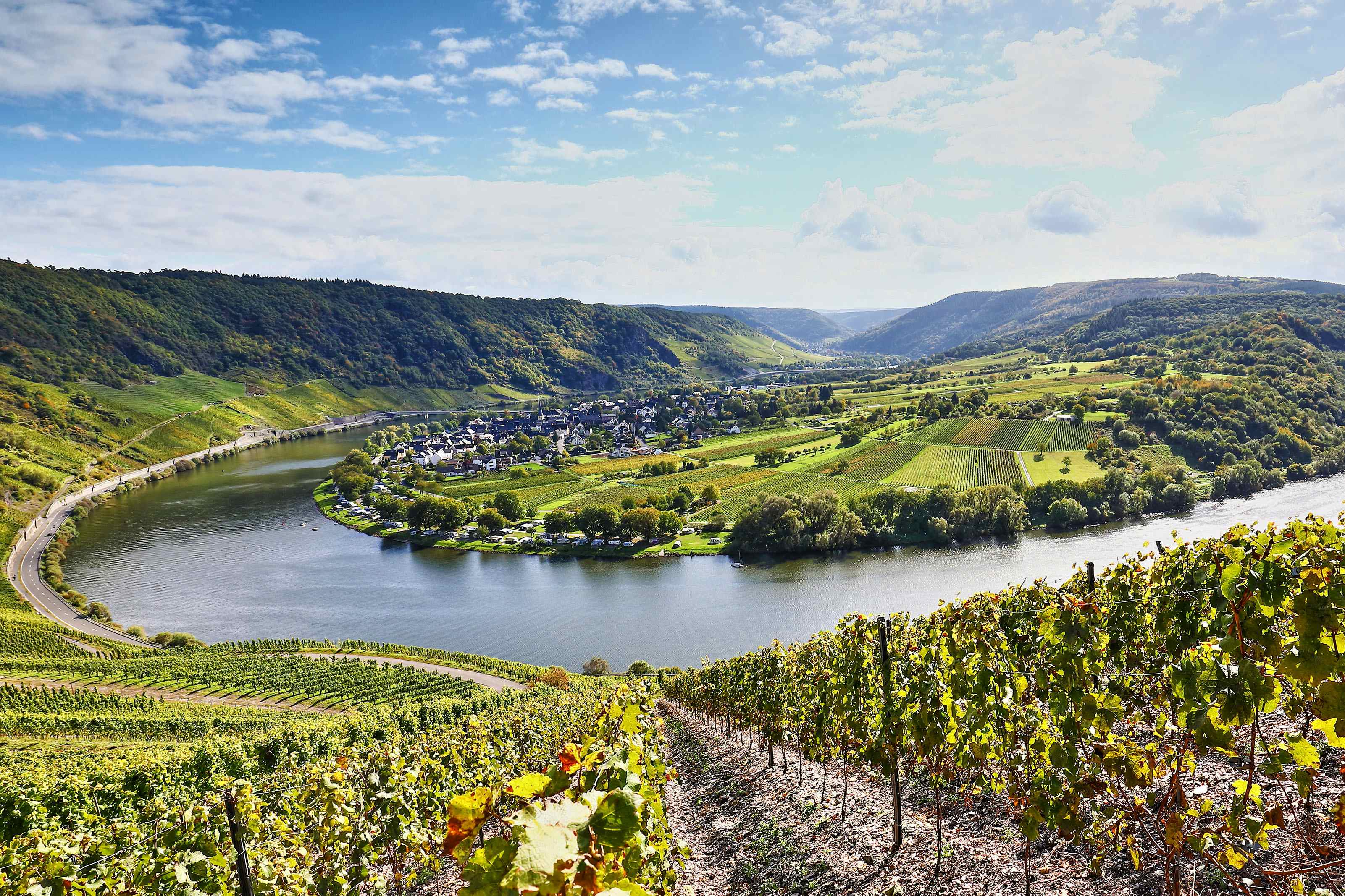 Camping dans la vallée de la Moselle