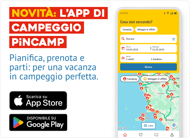 Pincamp App