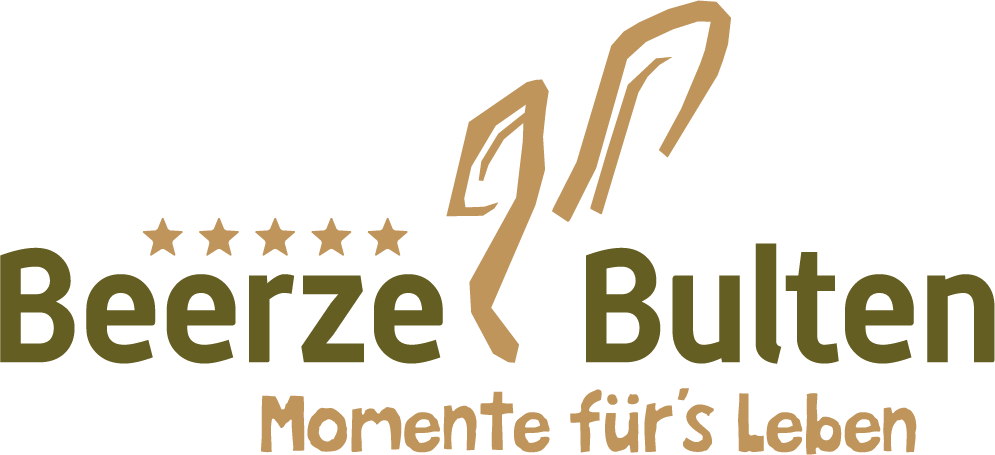 Ferienpark Beerze Bulten