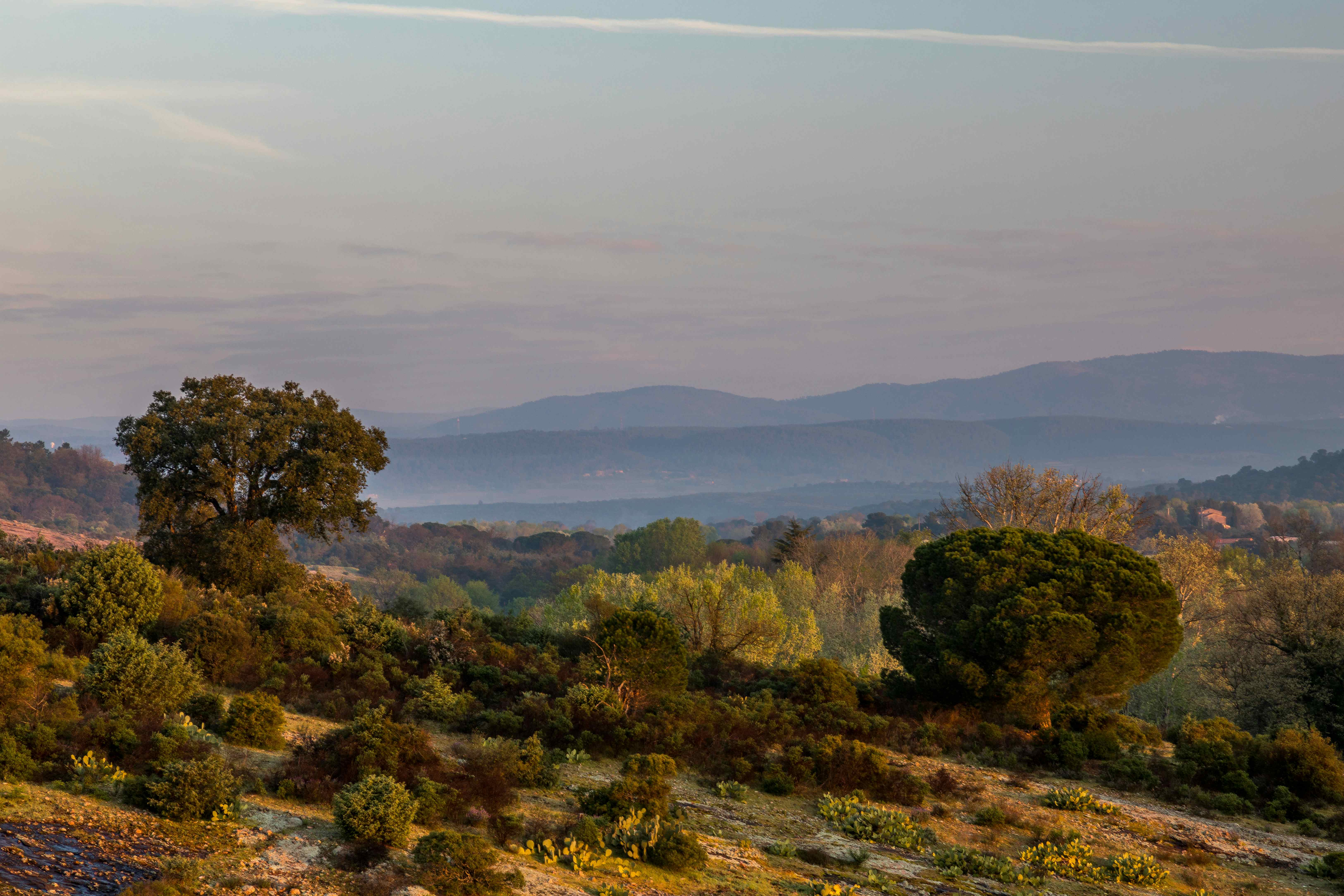 Camping in Puget-sur Argens