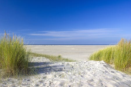 Campings aan zee in Nederland