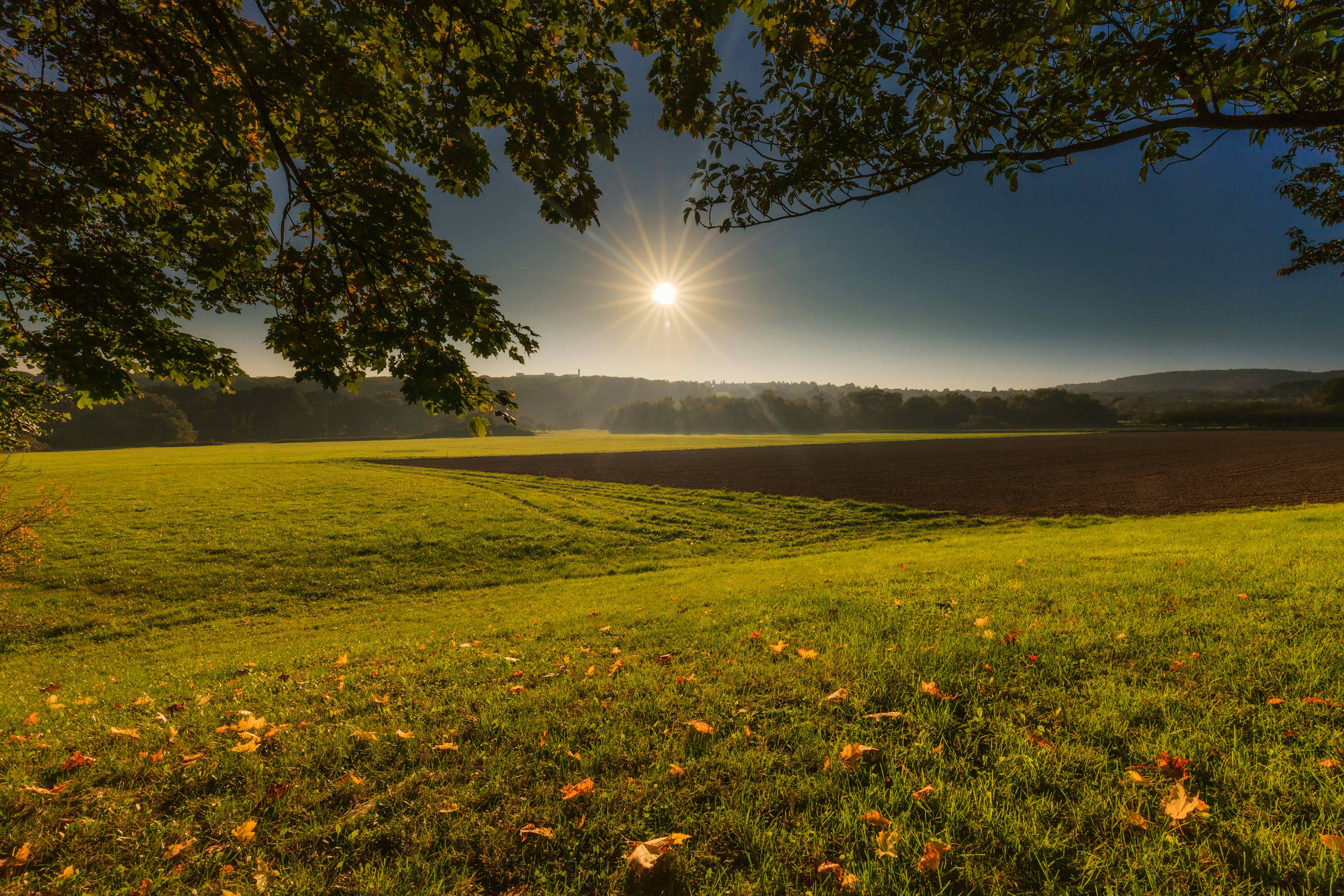 Camping in Rheinland-Pfalz
