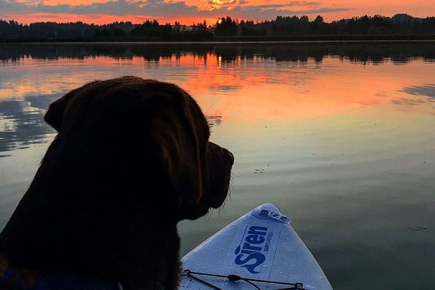 Campeggio con cane al lago