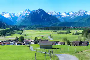 Alpi
