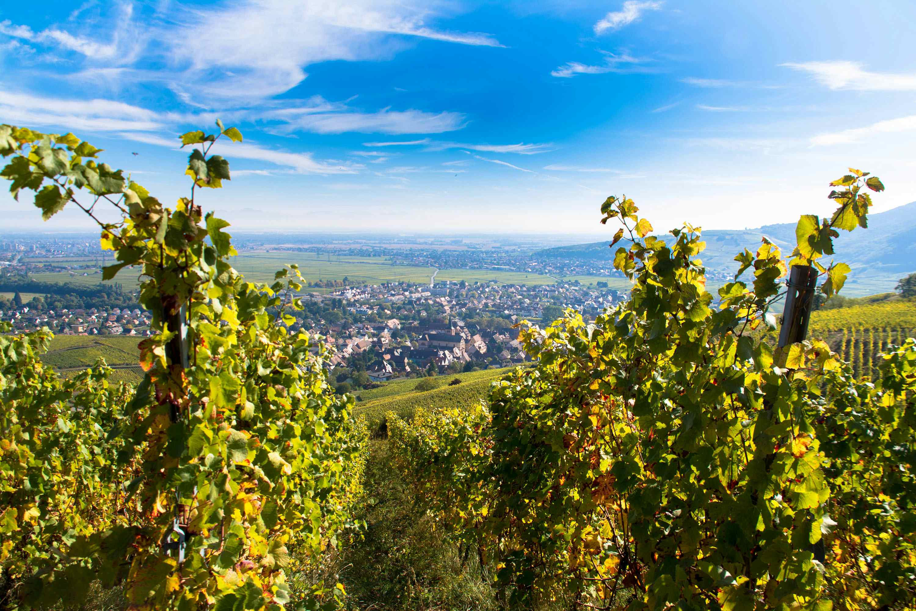 Camping in Turckheim